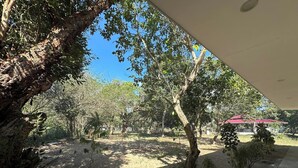 An outdoor area with trees, a dirt path, and a building with a red roof. - Magalong Beach Resort (Busuanga)