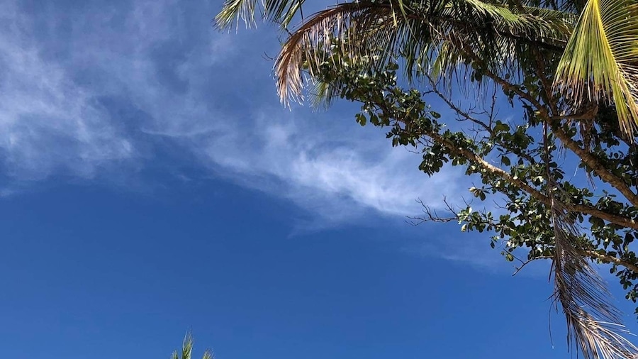 Magalong Beach Resort