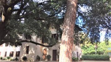 Ferienhaus | Außenbereich