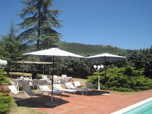 A poolside area with lounge chairs and umbrellas, surrounded by trees and a hilly landscape. - Belvilla by OYO Villa Galati (Castiglion Fiorentino)