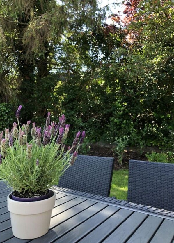 Exterior - Small Break in Salzhausen (Salzhausen)