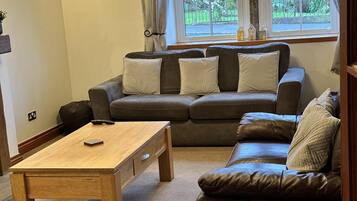 House | Living area | TV, fireplace