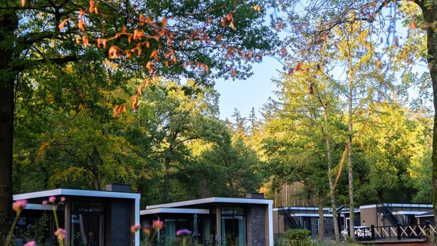 A modern building with a pond and surrounding greenery. - Elegant Country Chalet in Guelders (Hoenderloo)