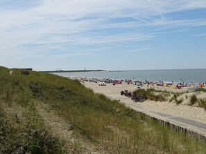Beach - Seagrass Modern Retreat (Nieuwvliet)