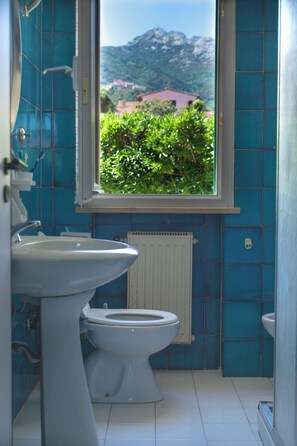 Een douche, een haardroger, een bidet, zeep