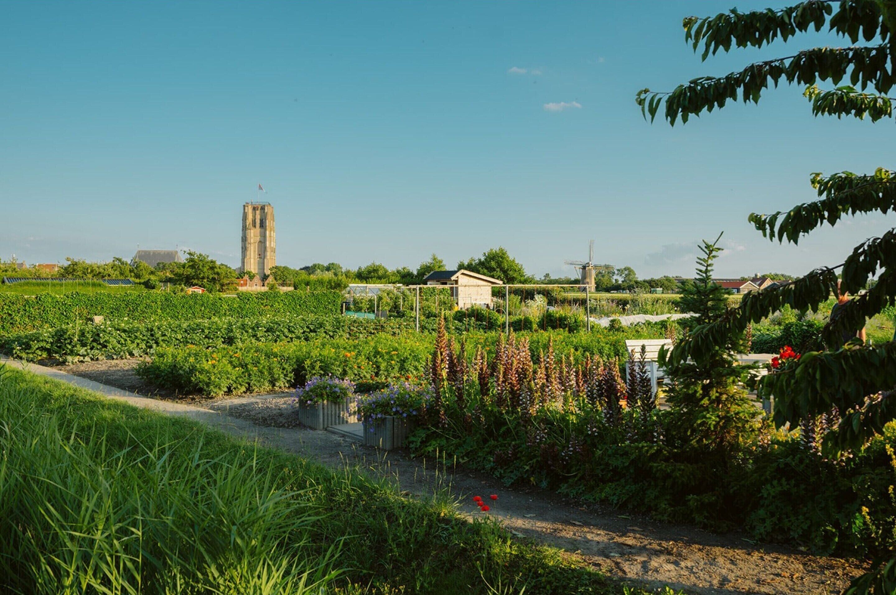木屋 | 室內細部