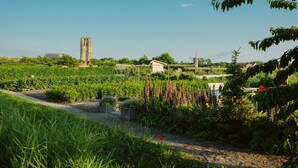 A rural landscape with a field, a small building, and a tall tower in the distance. - Detached Chalet With a Panoramic View! (Goedereede)