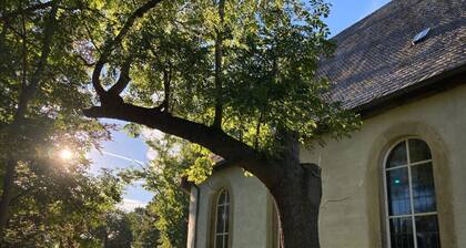 Summit Happiness at the Purple Beech