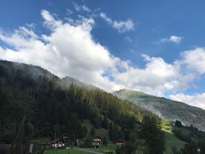 シャワー、ヘアドライヤー、タオル、トイレットペーパー