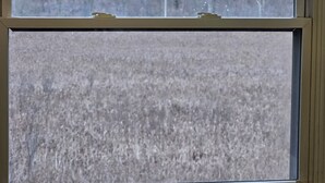 Een uitzicht op een veld en bomen in de verte.