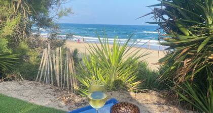 Atypical, set on the beach with direct access, swimming pool, barbecue, pets allowed