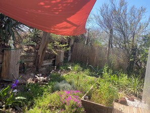Property grounds - Atypical, set on the beach with direct access, swimming pool, barbecue, pets allowed (Marseillan)
