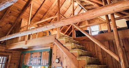 Cozy Harbor Springs cabin meticulously maintained on 4 acres.