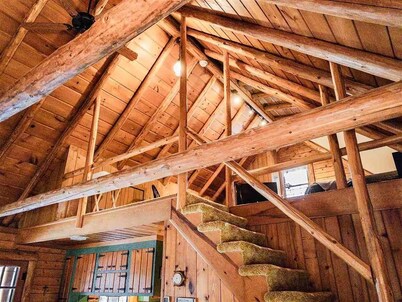 Cozy Harbor Springs cabin meticulously maintained on 4 acres.