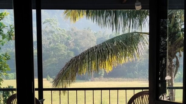 Un balcon avec deux fauteuils en osier donnant sur un champ verdoyant et luxuriant, bordé de palmiers.
