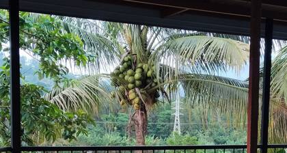 Ella Nature Valley Homestay - Deluxe Family Room with Mountain View