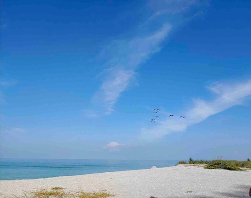Venice Island's Paradise By The Sea