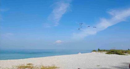 Venice Island's Paradise By The Sea