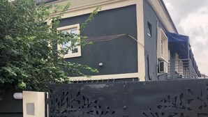 Una entrada protegida con una puerta metálica decorativa con diseños de hojas.