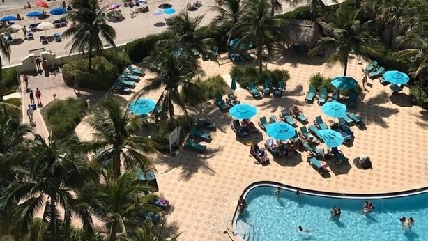 A beach resort with a swimming pool, palm trees, and beach umbrellas. - 7th FL spacious 1 bedroom  (Hollywood)