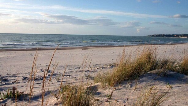 A beach with sand dunes and sparse vegetation. - Casina di Savolano Comfortable Holiday Residence (Livorno)