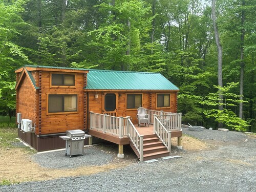 Lake Carey Cabin within walking distance to Old Carter Barn with lake access