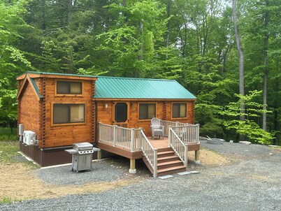 Lake Carey Cabin within walking distance to Old Carter Barn with lake access