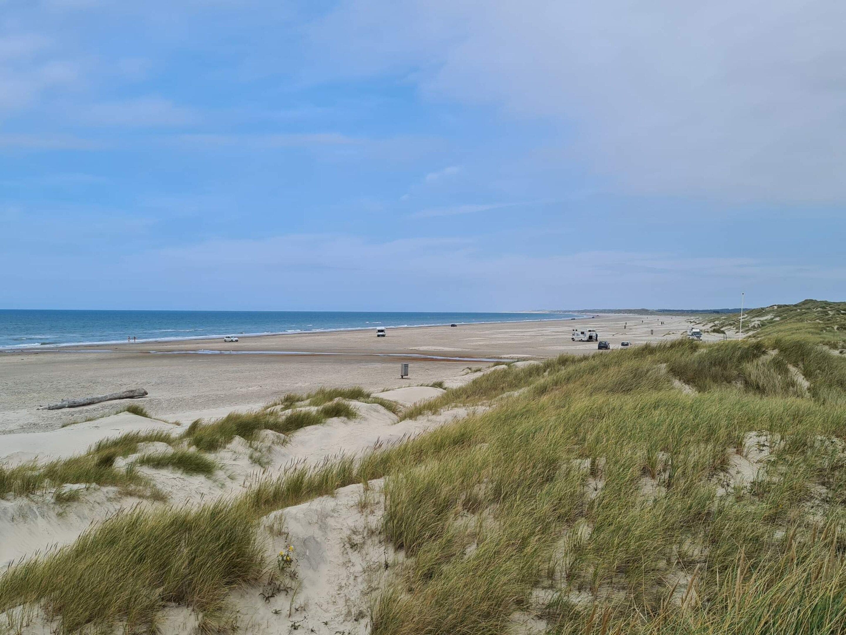 Una spiaggia con dune e cielo sereno.