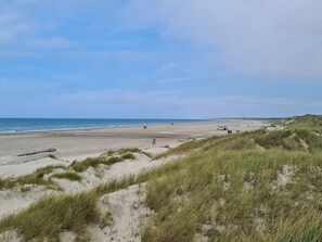 A beach with dunes and a clear sky. - 12 Person Holiday Home in Pandrup (Pandrup)