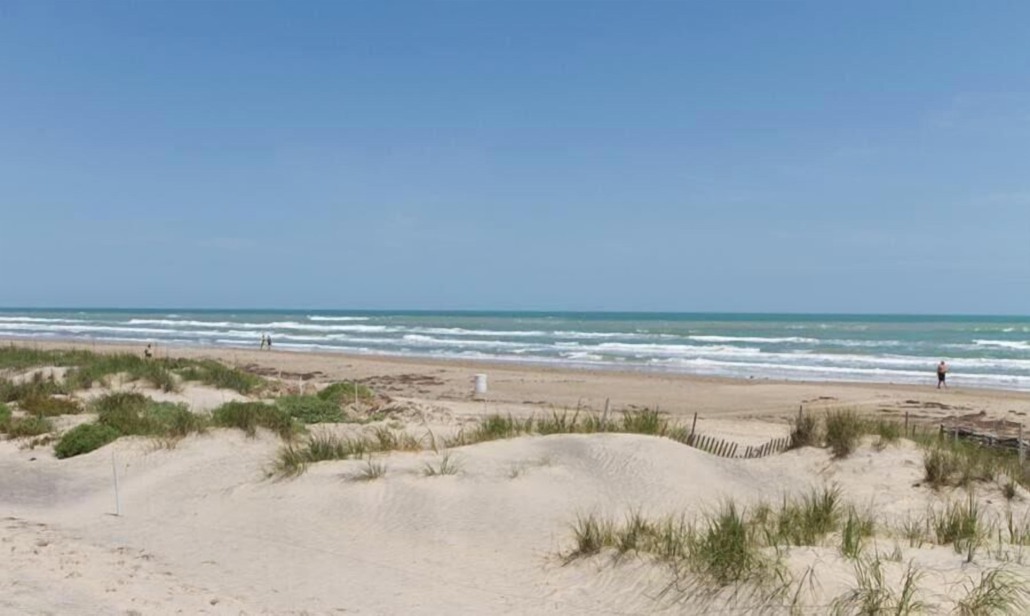 Una spiaggia con dune di sabbia e l'oceano.