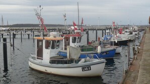 A marina with several boats docked at the pier. - Nice Apartment Near Seabeach (Stein)