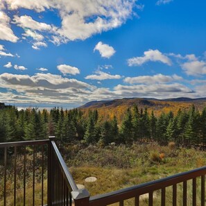 Property grounds - Cardinal du Massif 17: Hot Tub, Views & Terrace (Petite-Rivière-Saint-François)