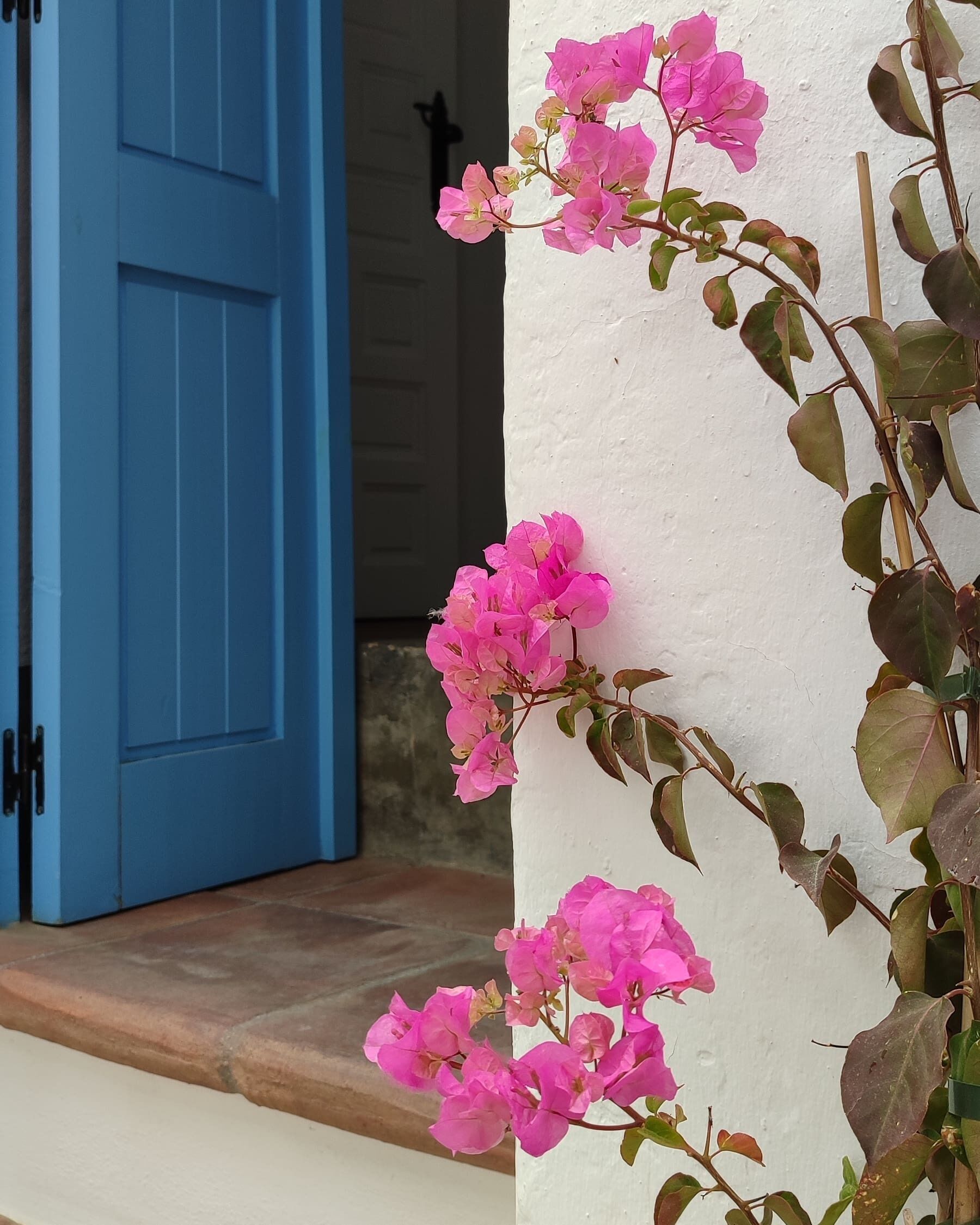 Una puerta azul y una pared con flores rosadas.