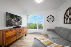 Smart TV, fireplace, stereo