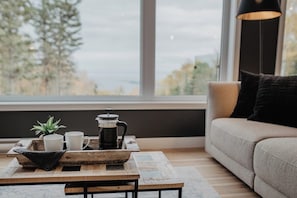 Smart TV, fireplace, stereo