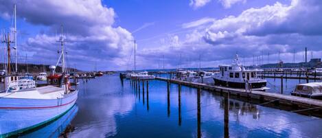 獨棟房屋 | 水景