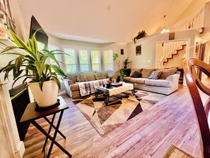 Smart TV, caminetto, libri, impianto stereo