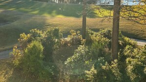 A golf course with a lake in the background, surrounded by trees and greenery.