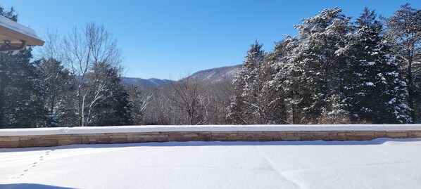 Property grounds - Bluestone Manor-Spacious Comfort for Your Winter Vacation (Nimitz)