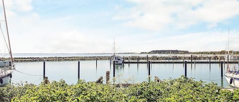 Un puerto deportivo con barcos amarrados, cielo despejado y una costa lejana.
