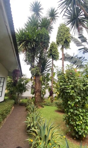 Overnattingsstedets uteområder