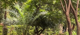 Jutland in Moshi Urban