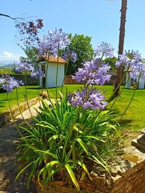 Garden - LA VENTA DE MIYARES - CASA DE INDIANOS (Pilona)