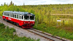 Un train circule sur des voies ferrées, avec une zone boisée en arrière-plan.