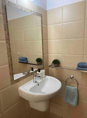 Bathroom features a pedestal sink, mirror, and a shelf with a potted plant and towels.