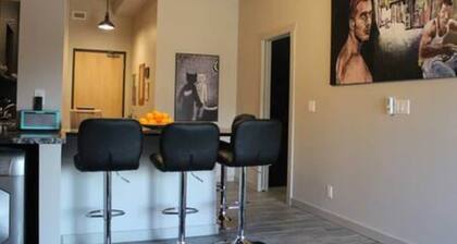 Metropolitan Loft 201