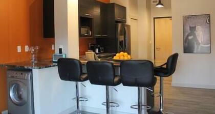 Metropolitan Loft 201