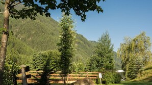 Un banc en bois, installé dans un espace verdoyant, avec une montagne en toile de fond.