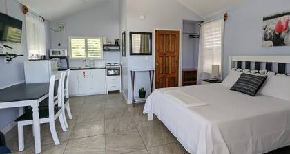 Elle's Place Studio #1 / Upper flat studio, minutes from Town & Maya Ruins.