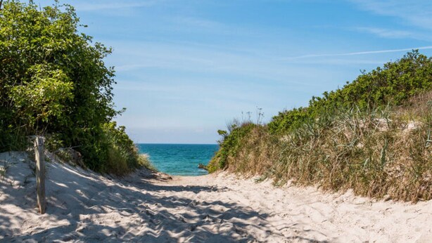 A sandy beach path leading to the sea, surrounded by greenery. - Baltic Sea Mermaid, Green Lagoon (Ostseebad Wustrow)